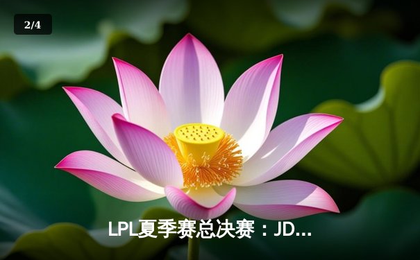 LPL夏季赛总决赛：JDG强势夺冠，Knight斩获FMVP - 2